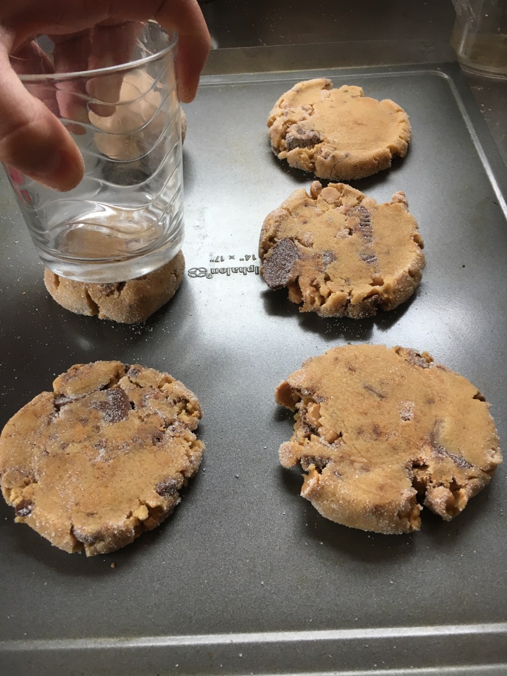 73F9E2B6-42C4-4C8D-84C7-EB8E7B52EAA3